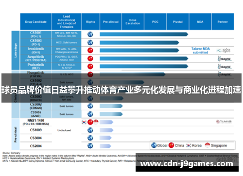 球员品牌价值日益攀升推动体育产业多元化发展与商业化进程加速