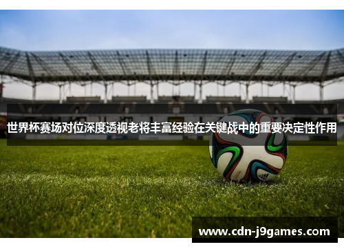 世界杯赛场对位深度透视老将丰富经验在关键战中的重要决定性作用